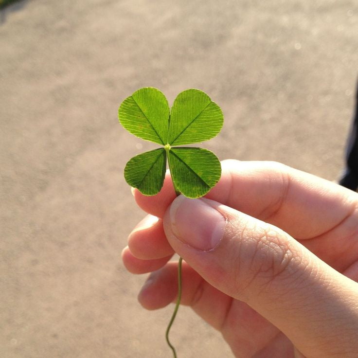 The Spiritual Glow-Up of St. Patrick's Day ✨🍀