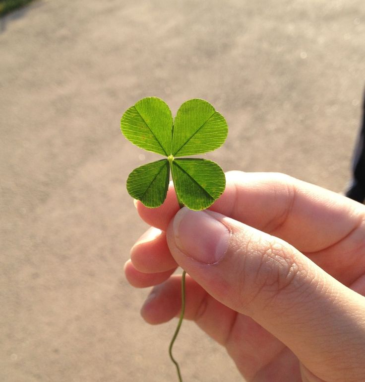 The Spiritual Glow-Up of St. Patrick's Day ✨🍀