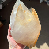 STELLAR BEAM CALCITE ELMWOOD