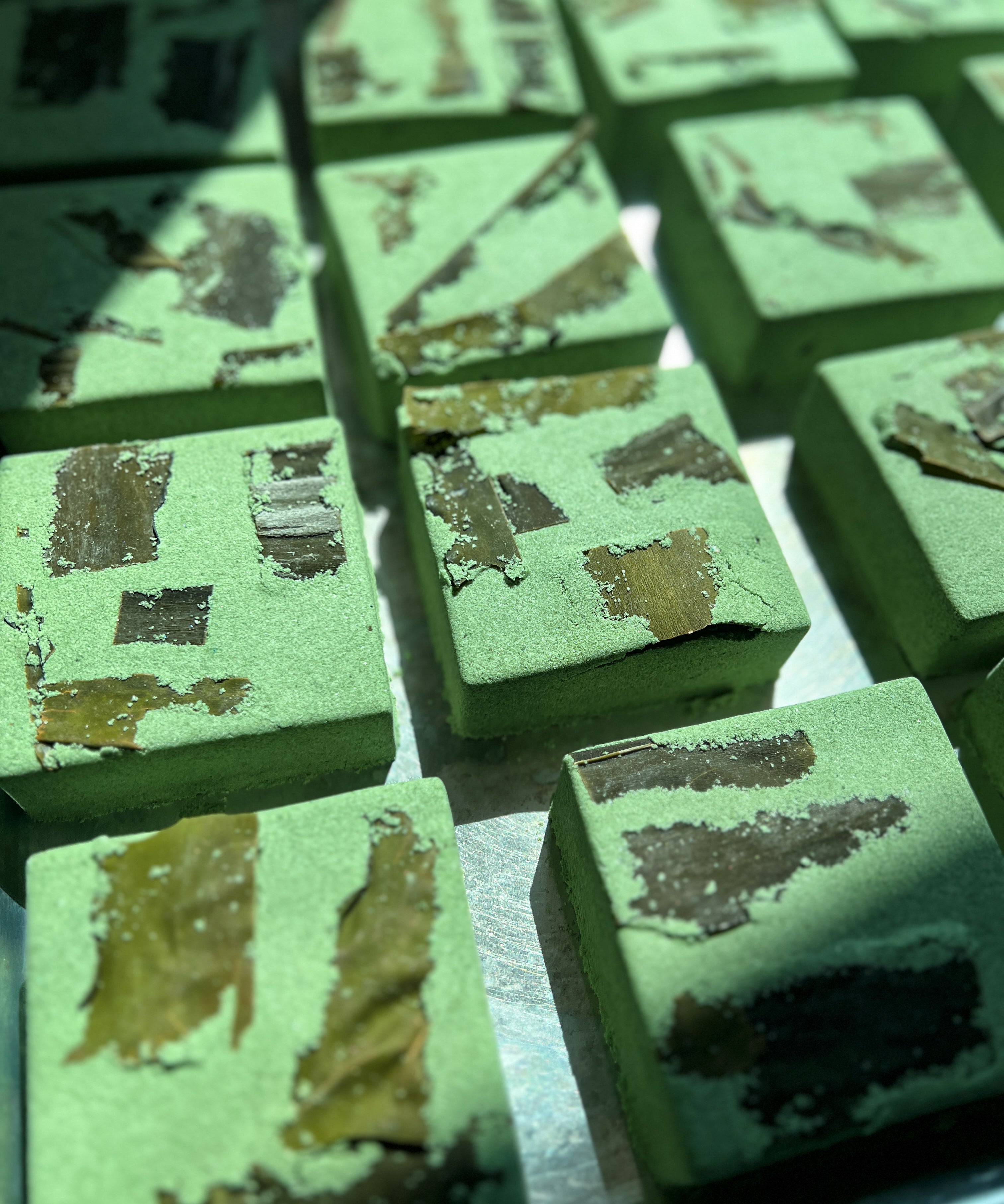 SEAWEED SPELL