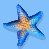 SEA FULL OF STARS