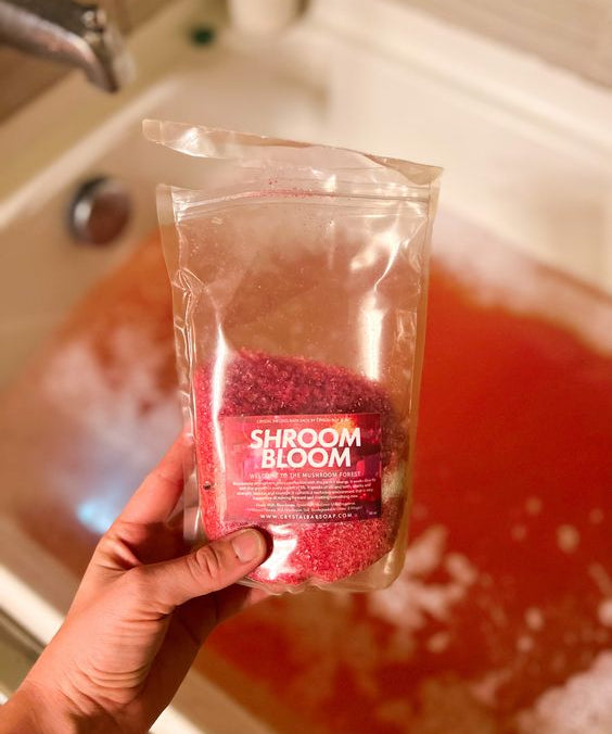 Shroom Bloom